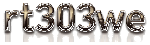 rt303we logo